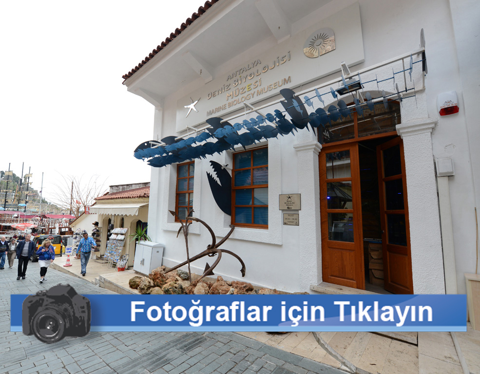 deniz-biyolojisi-muzesi.jpg