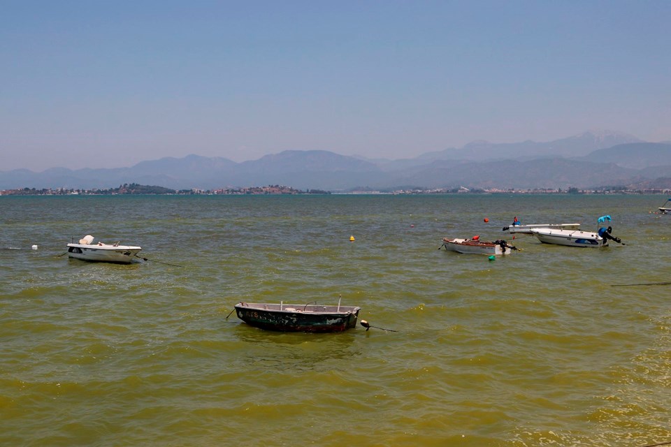 fethiye-renk2.jpg