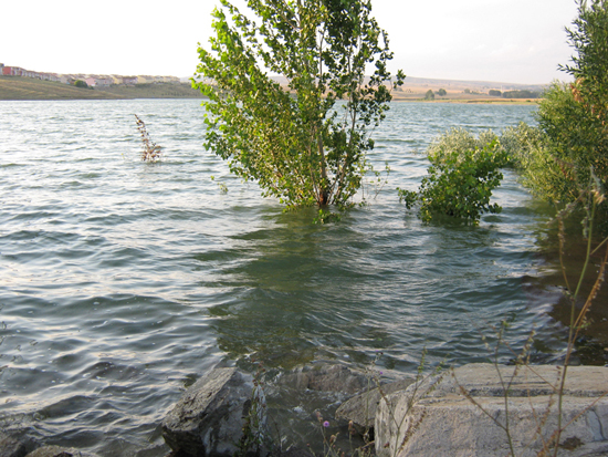 golet-tasiyor-buyuk-int.jpg golet-tasiyor-buyuk-int.jpg