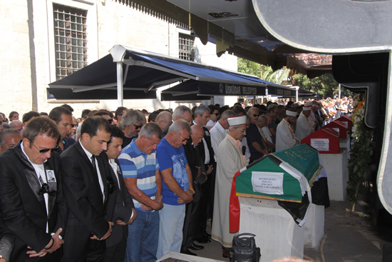 img_3979.jpg img_3979.jpg