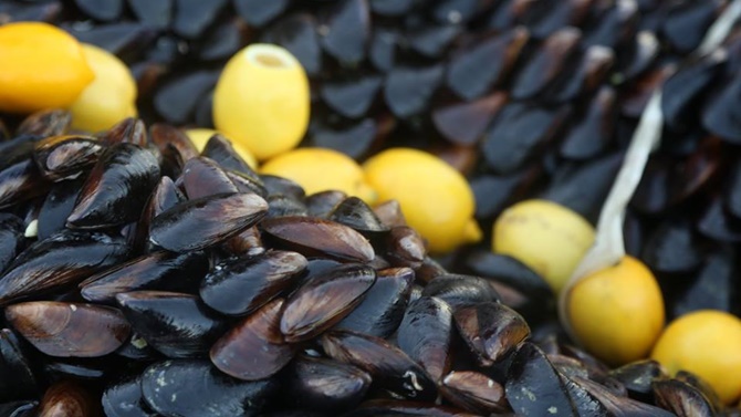 midye-001.jpg midye-001.jpg