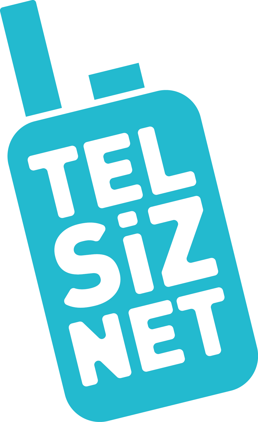 telsiznet_logo.jpg