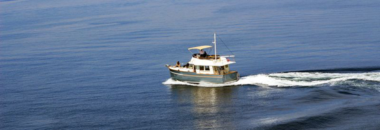 tr36_1.jpg tr36_1.jpg