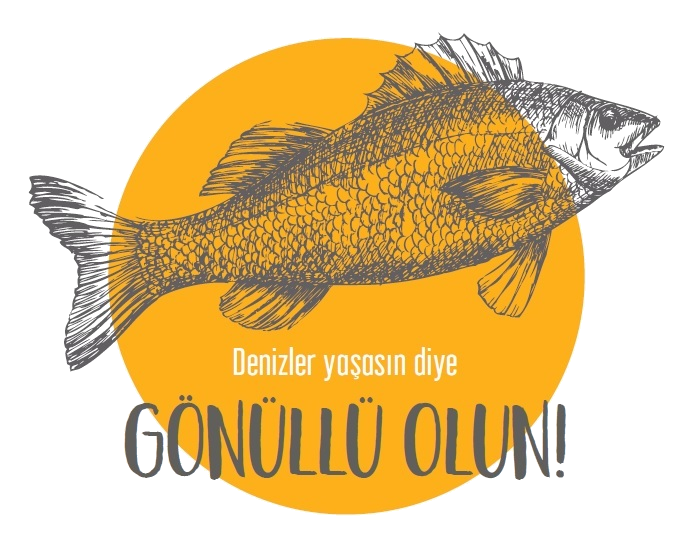 turmepa-gonullu-ol.png