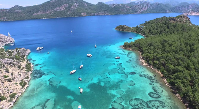 turmepal.jpg turmepal.jpg